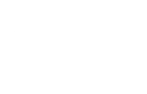 Secrets from a Stylist logo