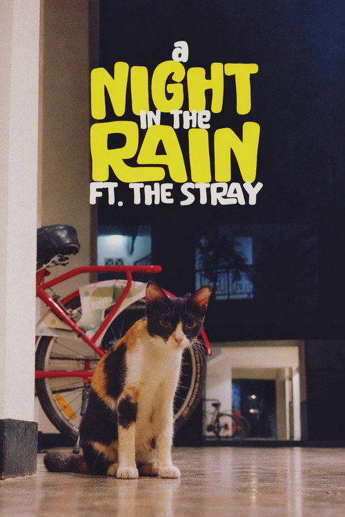 A Night in the Rain ft. The Stray