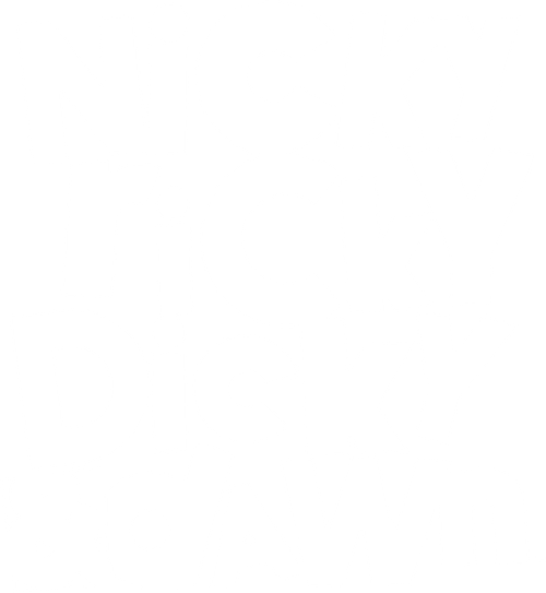 Nicky, Ricky, Dicky & Dawn logo