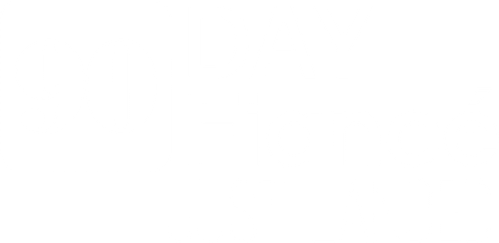 90 Day Fiancé: Just Landed logo