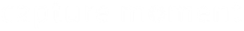 Capture Moment logo