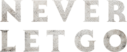 Never Let Go logo
