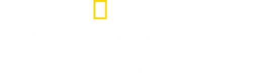 Limitless: Live Better Now logo