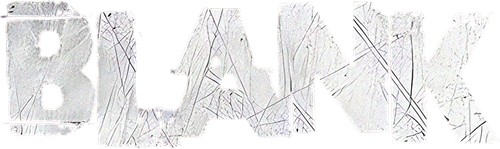 Blank logo