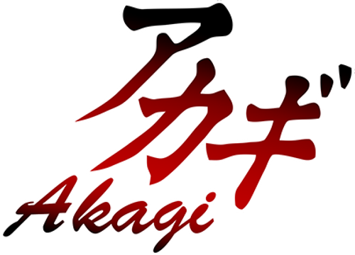 Touhai Densetsu Akagi : Yami ni Maiorita Tensai logo
