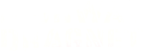 Highway Dragnet logo