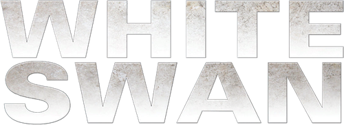 Assassins Run logo