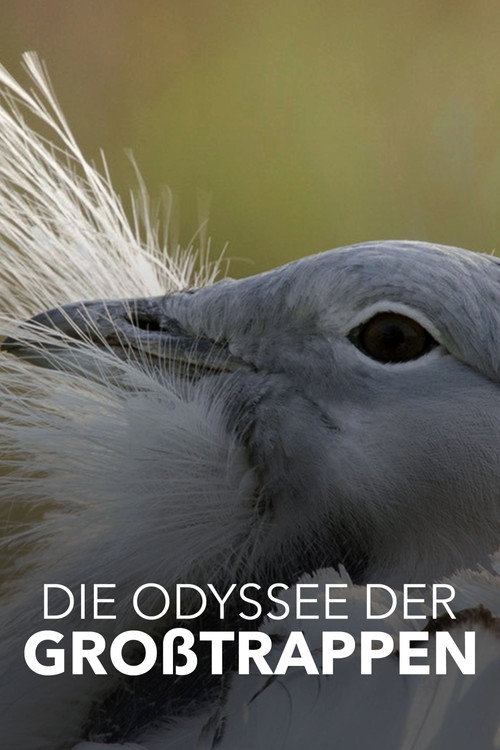 Glorious Bustards