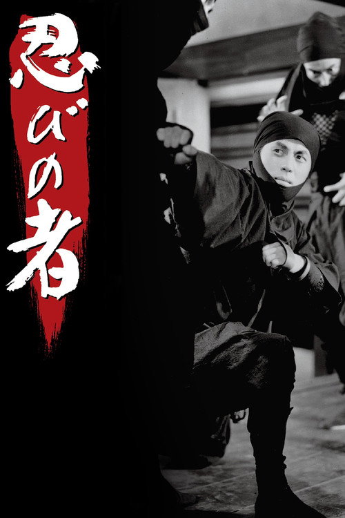 Le Secret du ninja