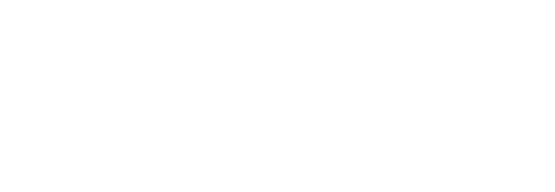 Perfect Partner logo