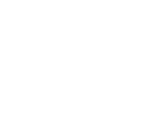Violence sous vidéosurveillance logo