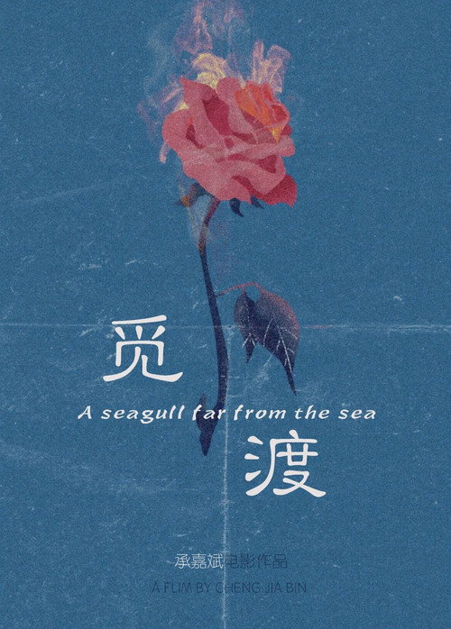 觅渡