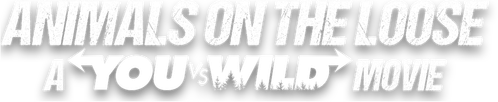 Animals on the Loose: A You vs. Wild Movie logo