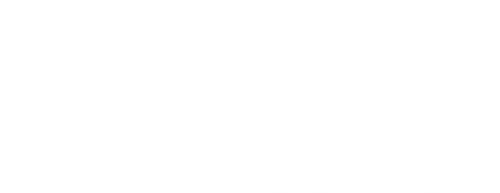 UFC 314: Volkanovski vs. Lopes logo