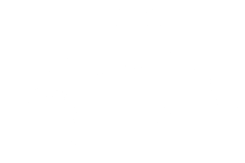 命悬一生 logo