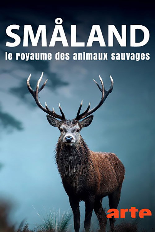 Småland, le royaume des animaux sauvages