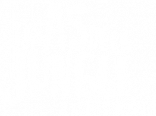 Les As de la Jungle à la rescousse ! logo