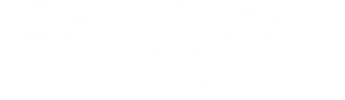 Brothers Take New Orleans logo