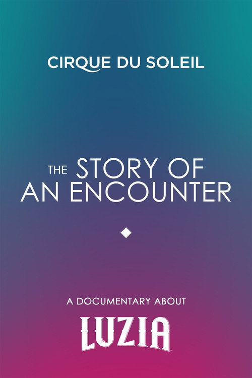 The Story Of An Encounter