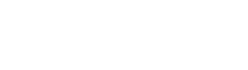 The Lowdown logo