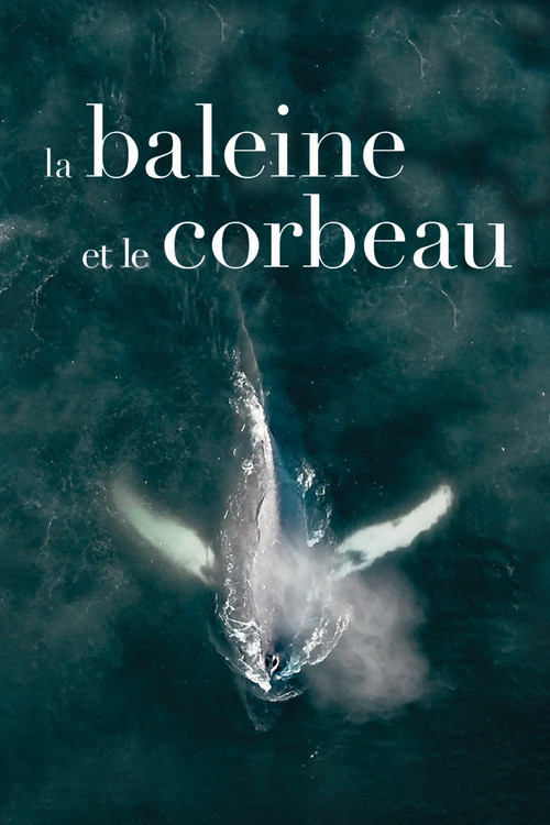 La Baleine et le Corbeau