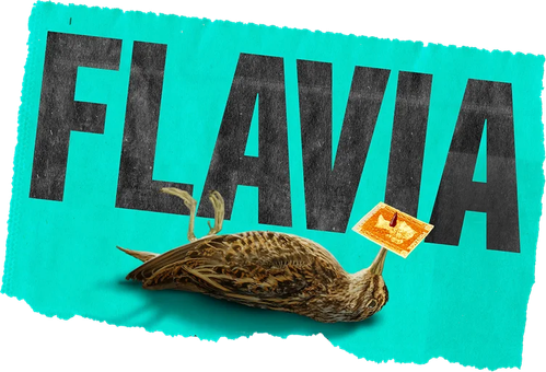Flavia logo