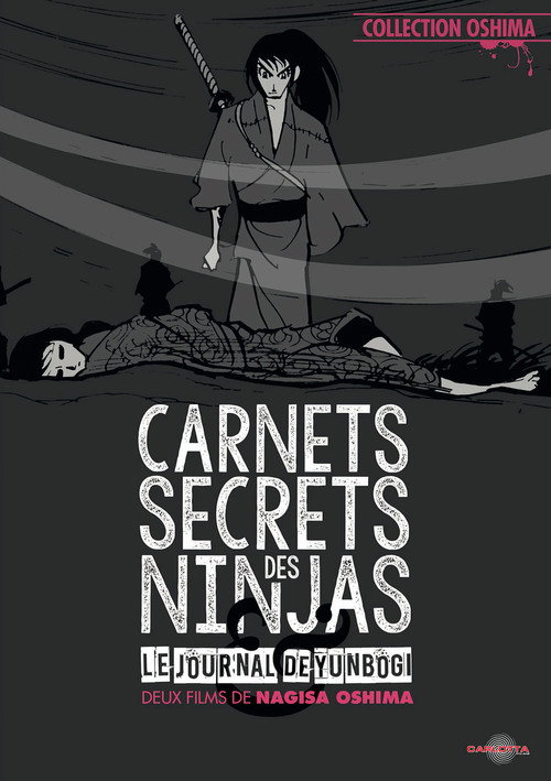Carnets secrets des ninjas