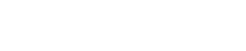 Skins logo