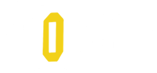 Loser logo