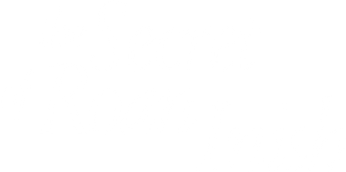 The Secret of Roan Inish logo