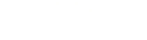 The Villain logo