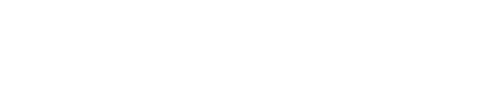 Painter of the night logo