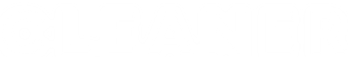 Cleaner logo