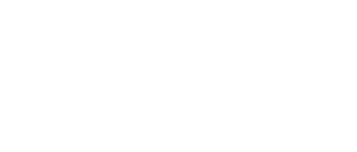 Petits mensonges à Bucarest logo