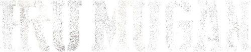 Iru Mugan logo