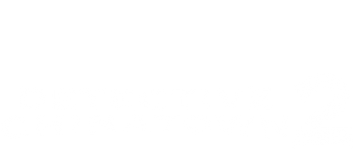 Detective Chinatown 2 logo
