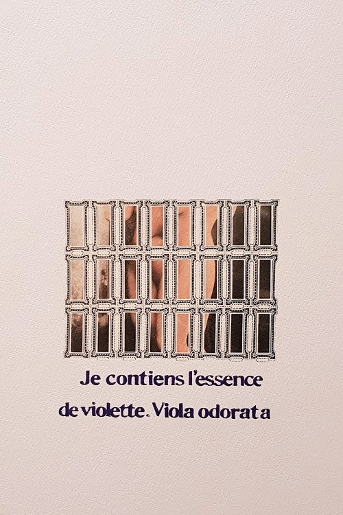 Vladimir Propp- Profumo di lupo