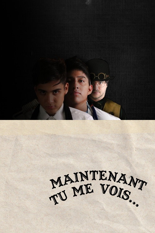 Maintenant Tu Me Vois...