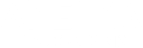 Anelka : L'Incompris logo