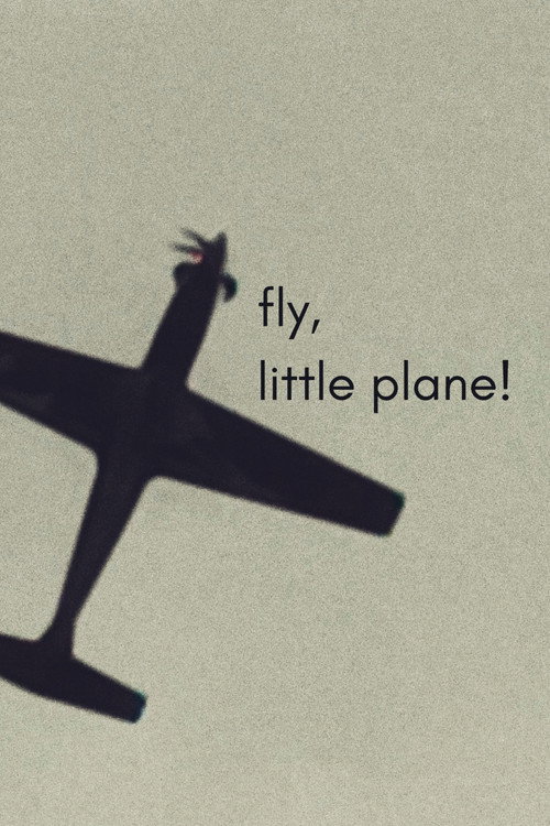 fly, little plane!