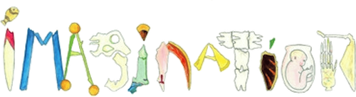 Imagination logo