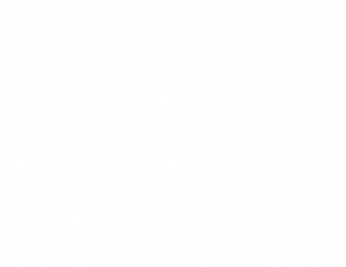 Les As de la jungle en direct logo