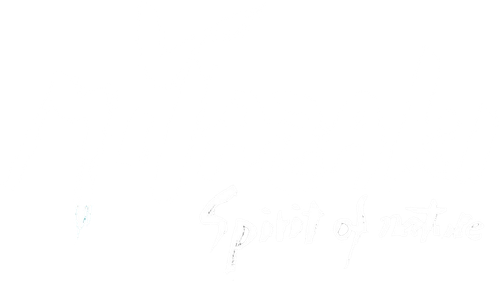 Miyazaki, l'esprit de la nature logo
