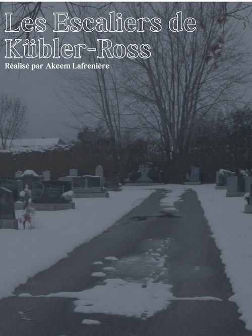 Les Escaliers de Kübler-Ross