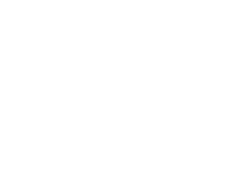 Hidden Love logo