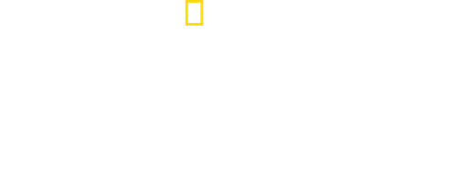 Michael Palin in North Korea logo