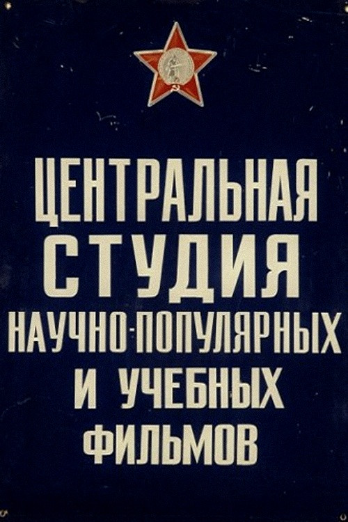 Основы классического танца