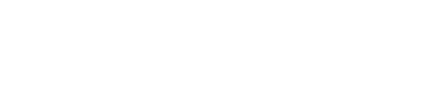 Birdman logo
