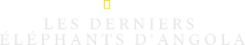 Ghost Elephants logo
