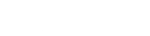 The Protector logo